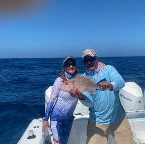 Meet your Posher, Rachelle